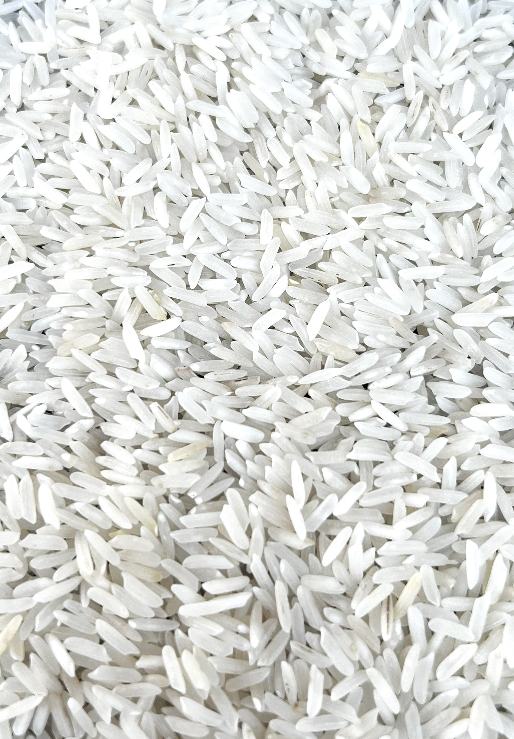 PR 11 Raw Rice